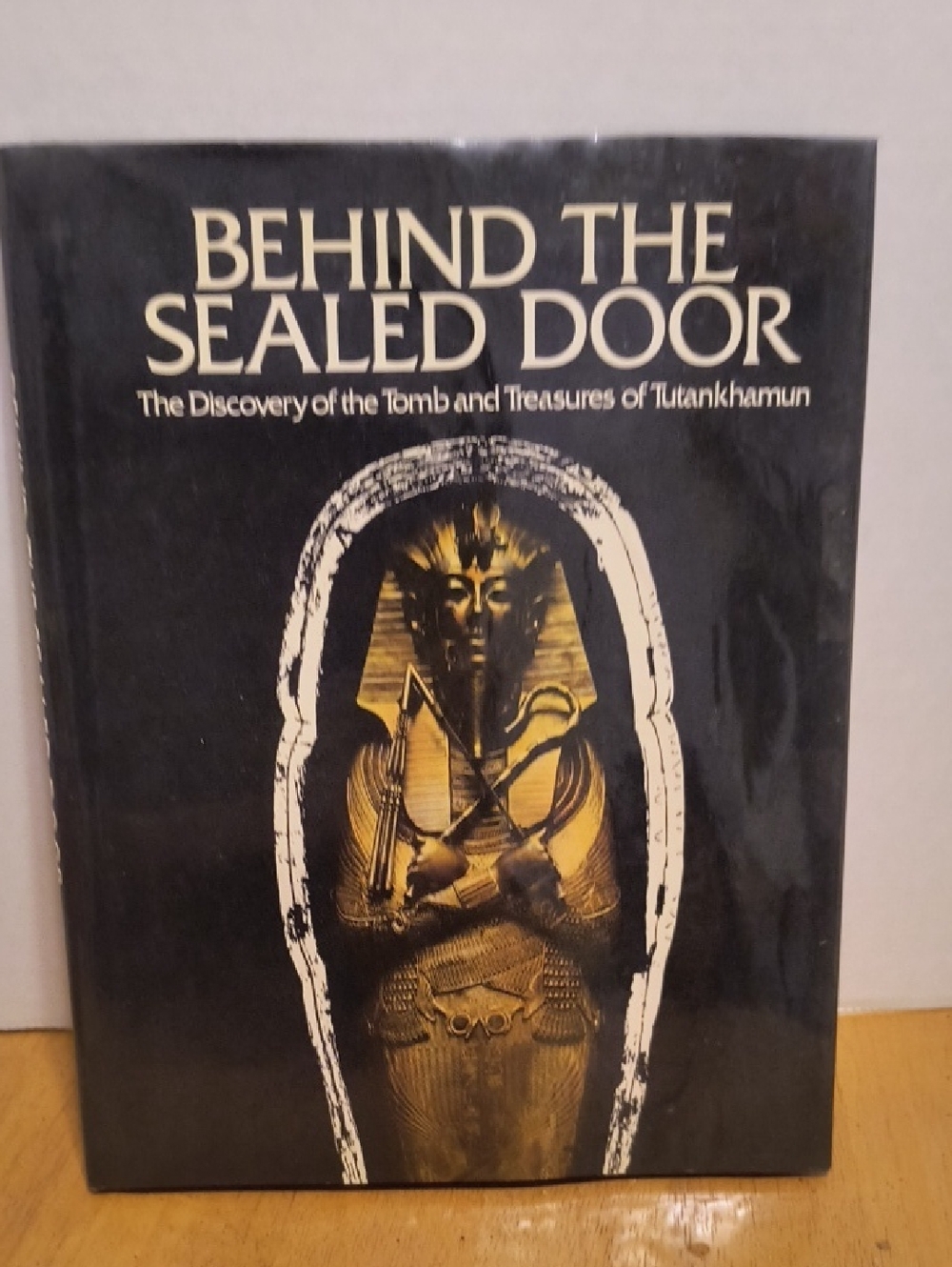 Hardcover Book Tutankhamun Behind The Sealed Door B5 Preowned